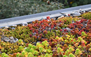 the cost of Gell green roof installation