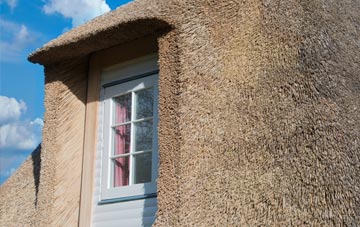 Gell thatch roof disadvantages
