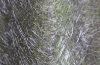 Gell fibreglass roof work